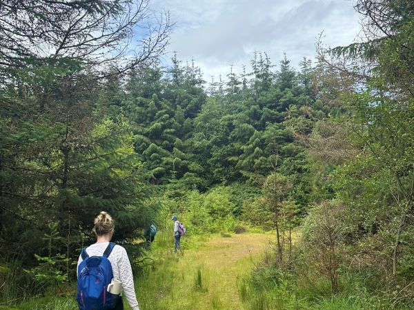 A group of study abroad students as seen from behind, walking through a bright green landscape enclosed by tall trees