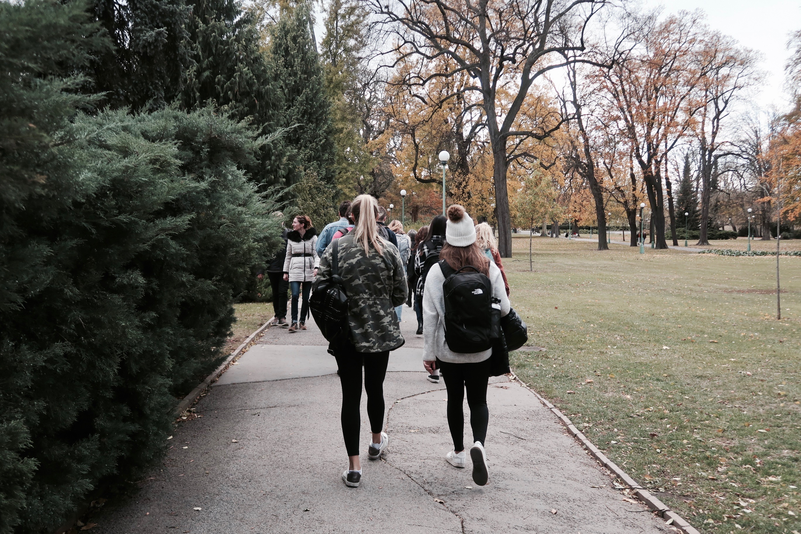 Stroll IMG_1940