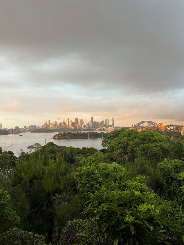 Sydney skyline during sun rise