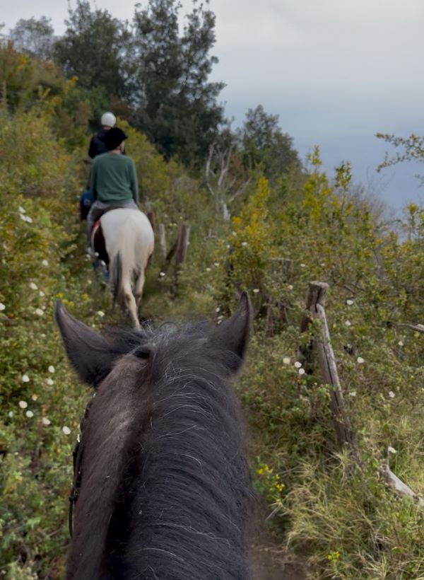 Study Abroad, See the World: Exploring Beyond Seville’s Borders
