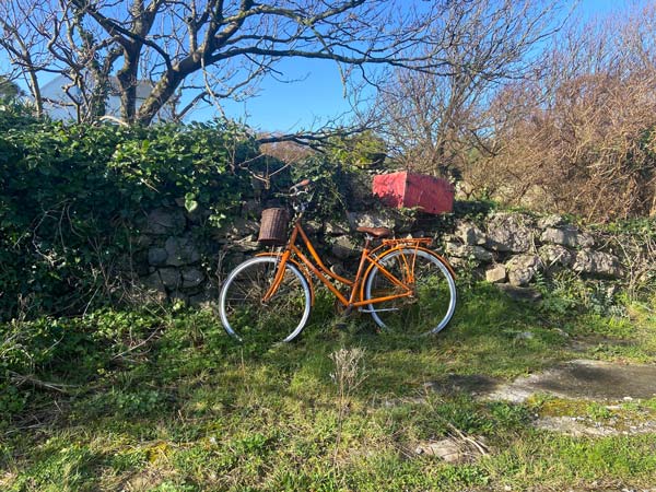 An orange bicycle with a basket on it