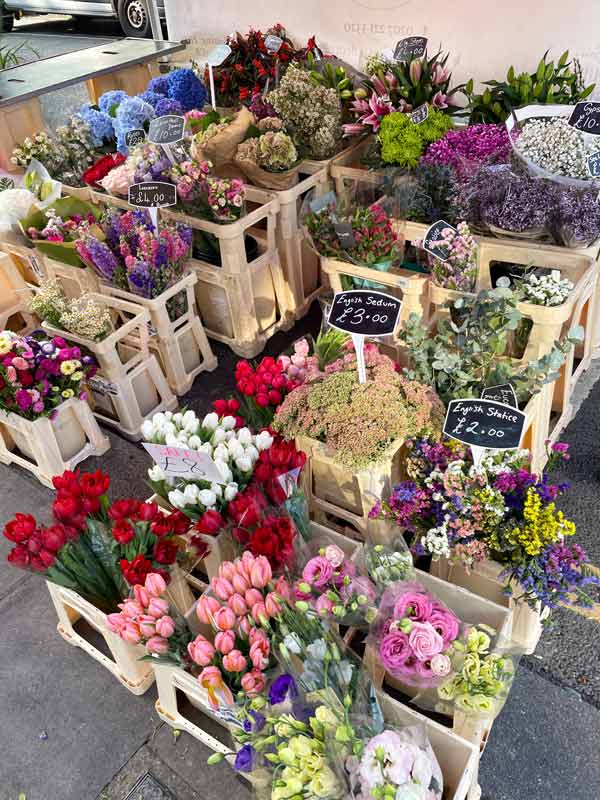 flowers for sale on the sidewalk