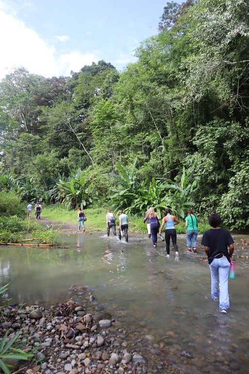 A group of study abroad students walking away from the camera in a shallow stream