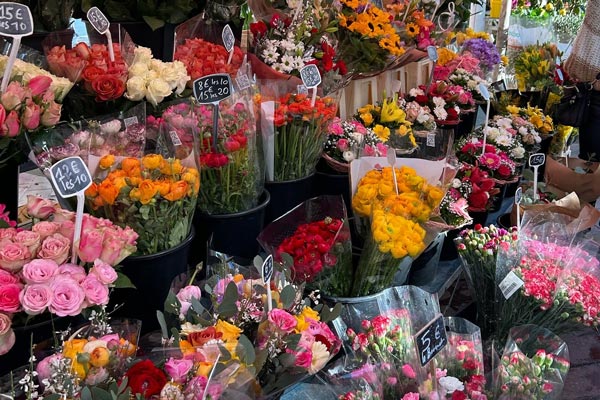 A bunch of flowers in a market