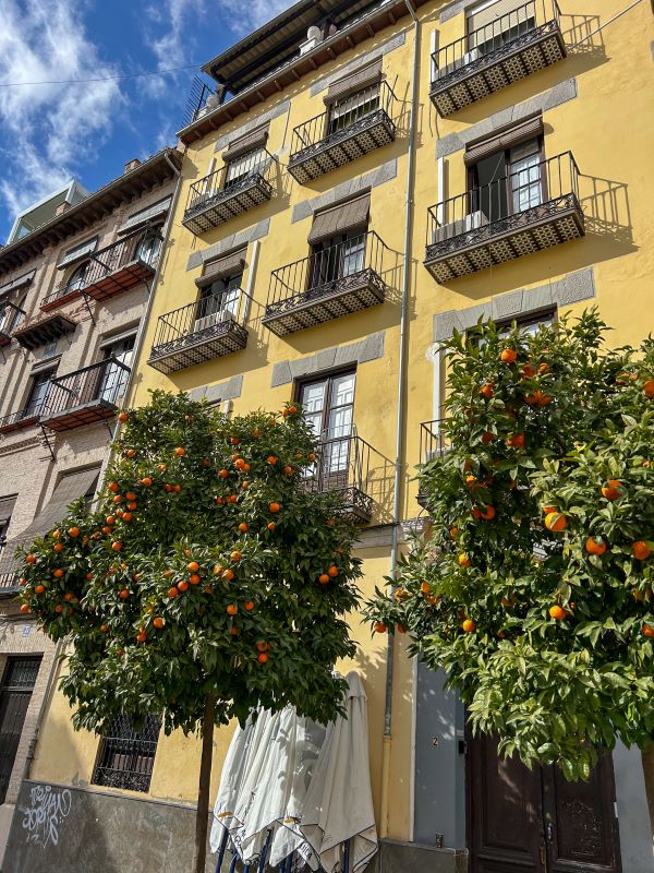 A bright yellow building in a city street with two orange trees in front of it