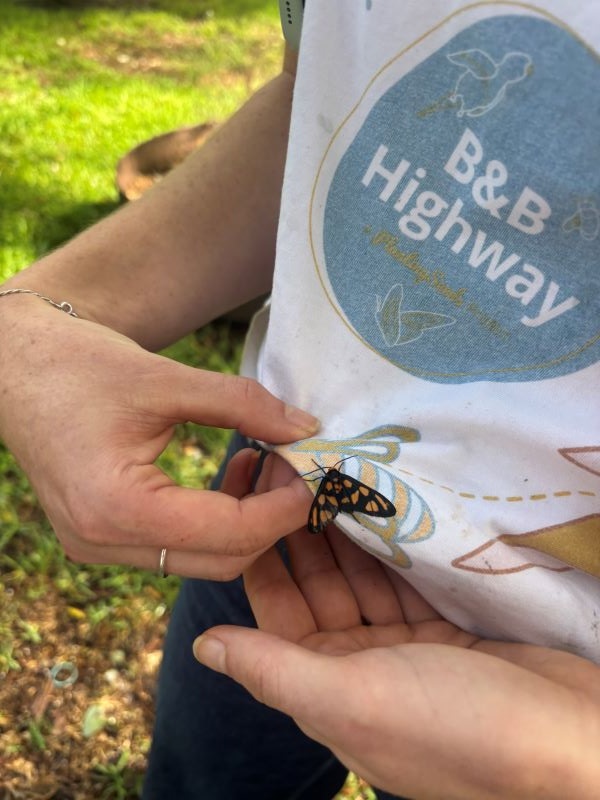 A close-up view of a small orange and black butterfly sitting on a person's white shirt