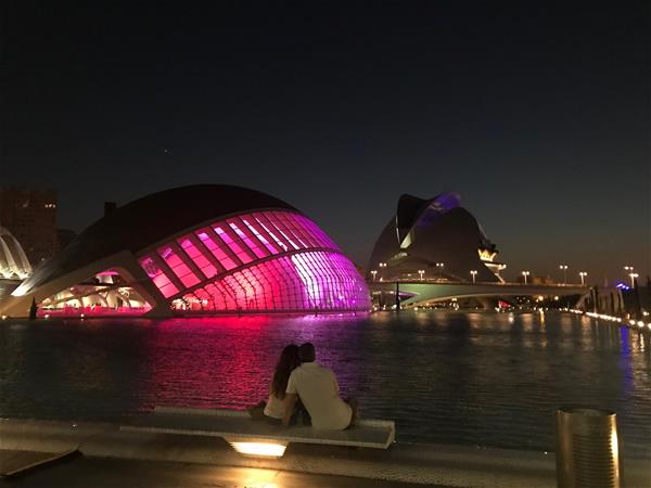 La Ciudad de Artes y Las Ciencias Valencia