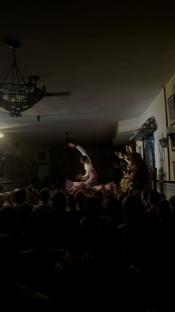 Dance performance at a flamenco tablao of single dancer on stage