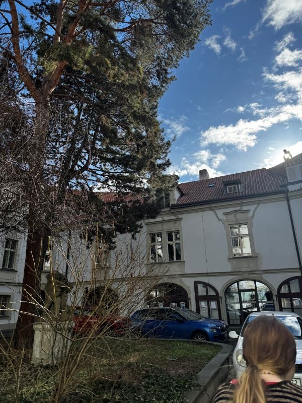 The exterior of a white building behind a large tree and under a blue cloudy sky