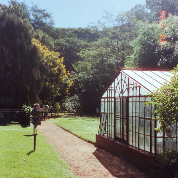 Film photo of woman standing in botanical garden