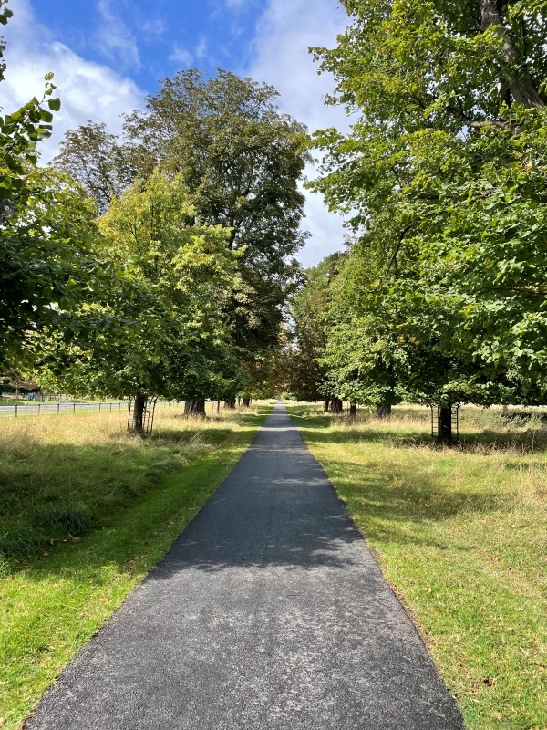 Photo of lush green Dublin Park