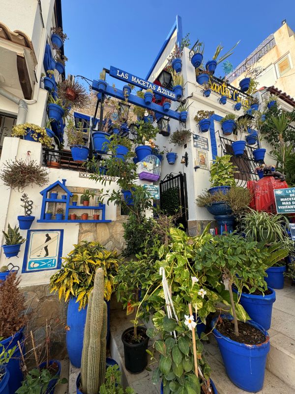 Why Did I Choose to Study Abroad in Alicante, Spain?