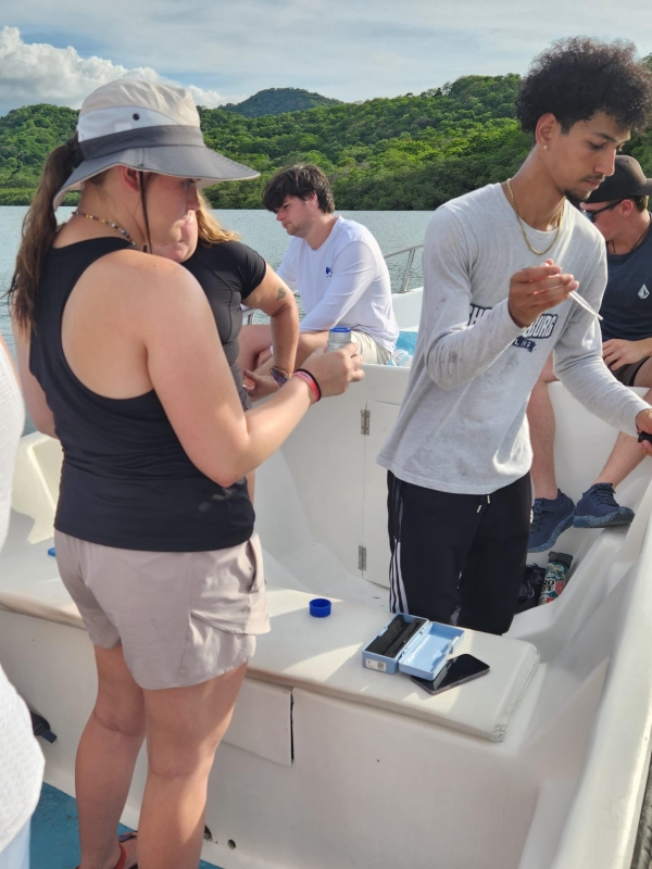 Study abroad students collecting data near the mangrove forests