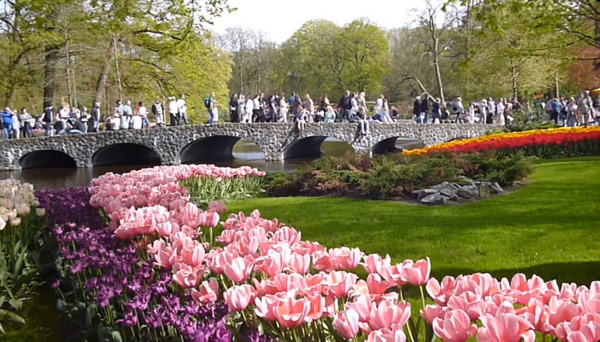 Image of tourists visiting Keukenhof tulip fields.