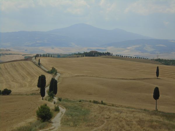 A landscape of manicured brownish yellow fields interspersed with green trees and with low mountains in the background