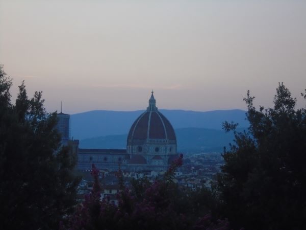 A large building with a domed top seen amidst smaller city buildings at dusk, with mountains in the background and leafy tree branches in the foreground