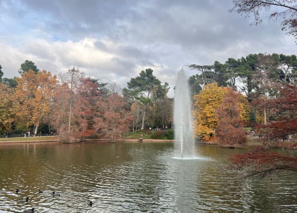Photo of Botanical Gardens in Madrid