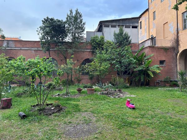 A patch of green grass enclosed by a brick wall and a building to the right, featuring several small trees
