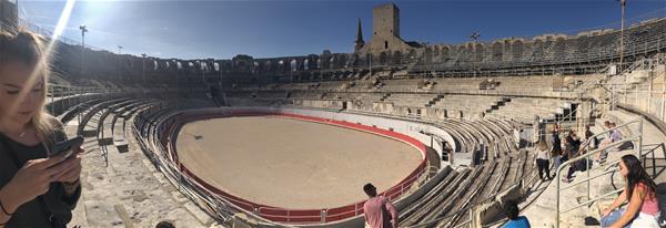 MOJO Blog Post #4 - Arels Arena
