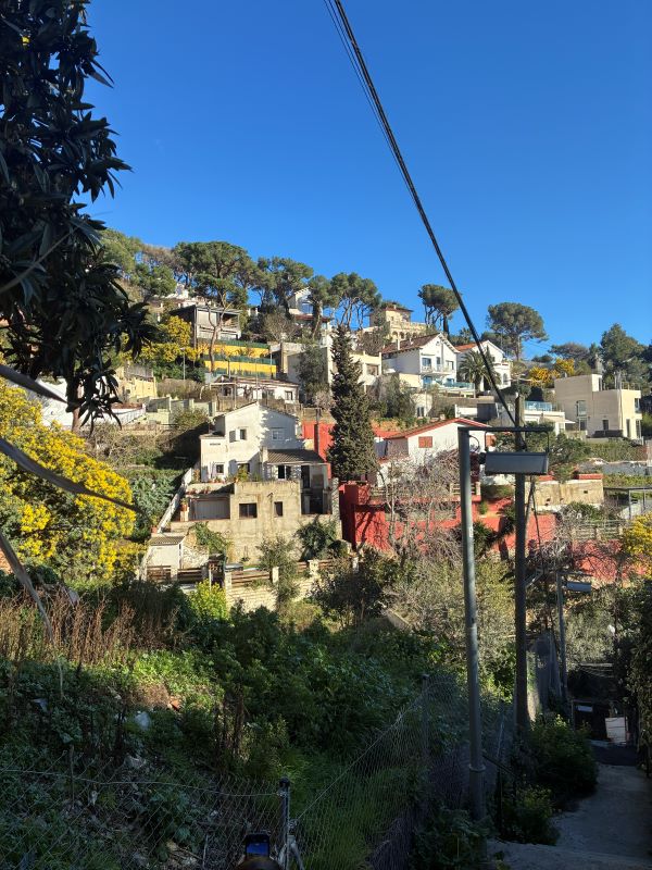 A group of buildings clustered together on the side of a hill, interspersed with small trees