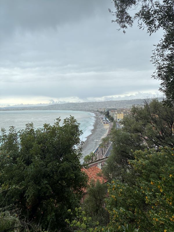 A body of water seen in the distance from high above under a cloudy gray sky and with large green trees in the foreground