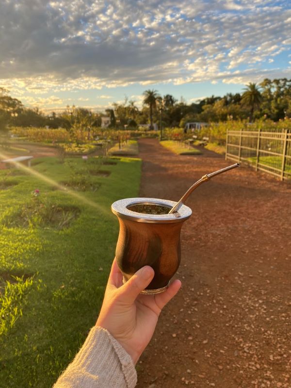 Study abroad student holding a cup of mate in garden