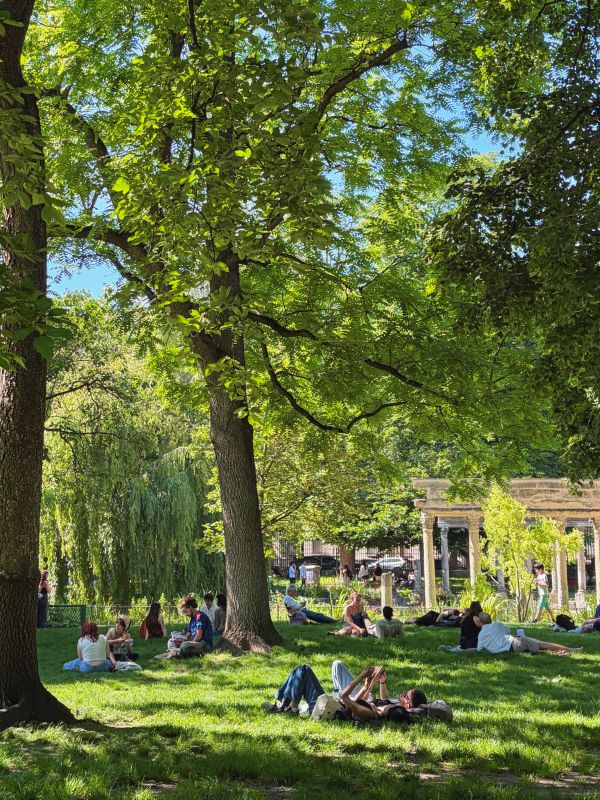 People sitting and lying on the grass of a park underneath a tall leafy tree