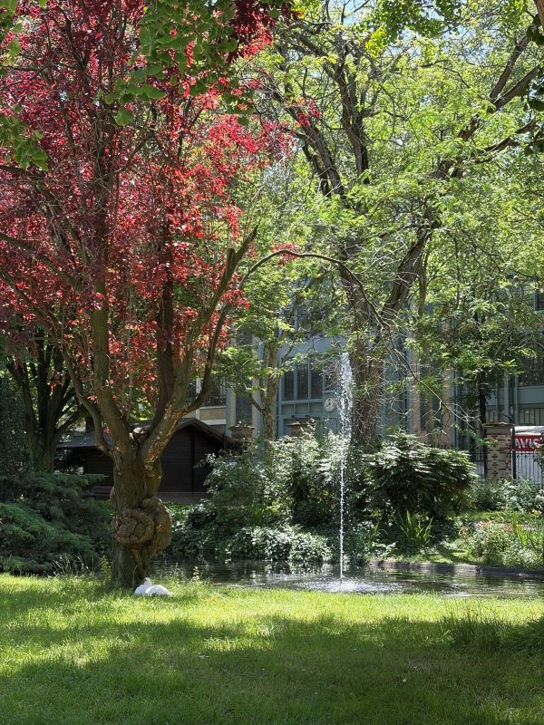 An outdoor scene featuring several trees and a small pond with a fountain