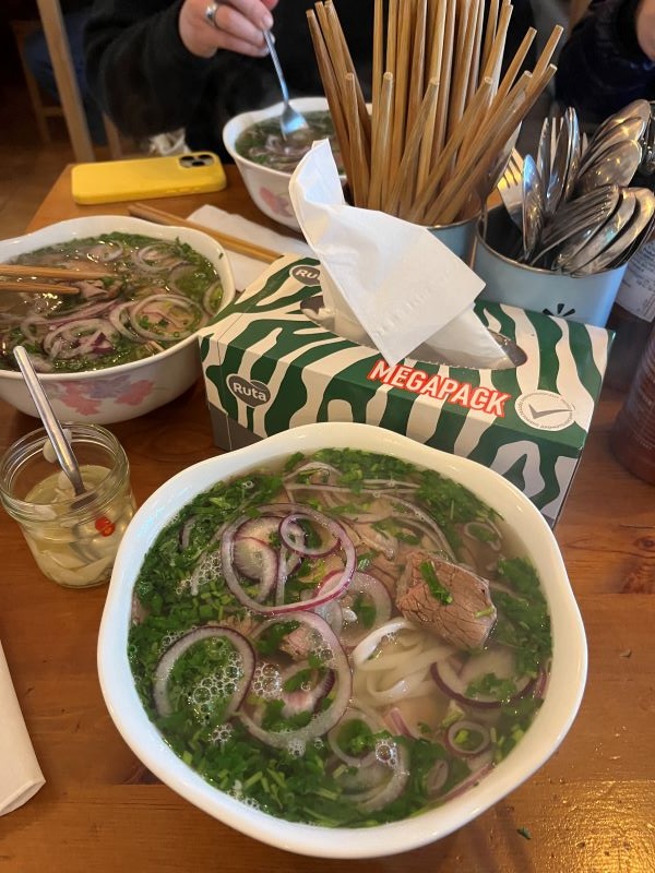 A large bowl of photo on a table, featuring large thin onion slices, noodles, and chunks of meat