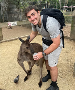 A person feeding a kangaroo