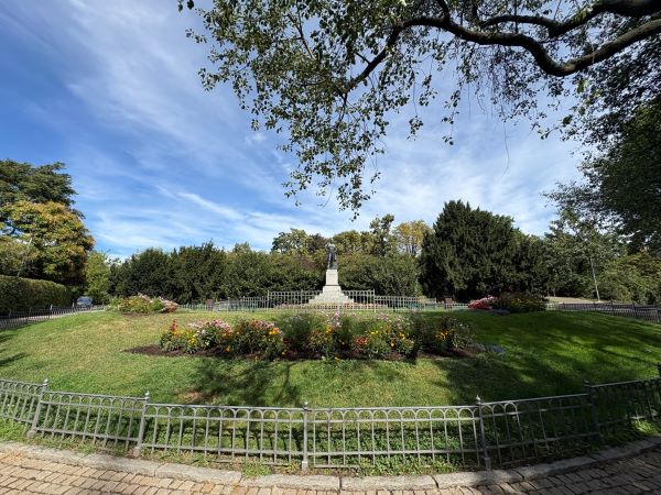 Fish eye lens of lush park