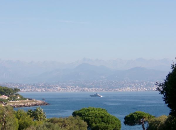 A large body of water seen on a bright sunny day, with trees in the foreground and mountains in the hazy background