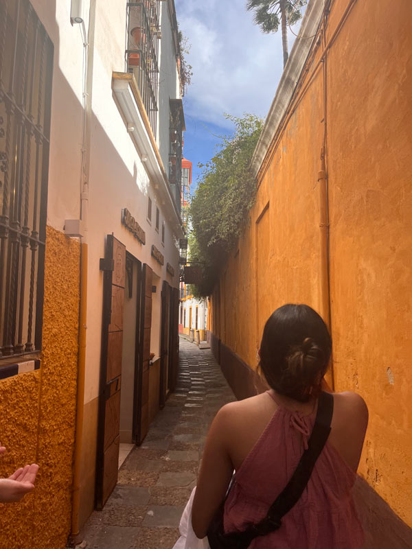 A person walking down a narrow alley