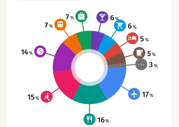 Image of graph showcasing a study abroad student's spending