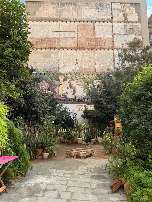 Potted plants and greenery seen in an outdoor space in front of a large building's wall