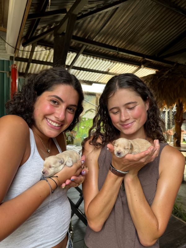 Two study abroad students holding small sand-colored puppies in their hands and smiling at the camera