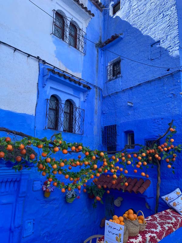 A blue building with oranges from a tree