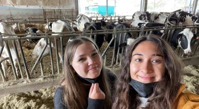 Study Abroad, Fall 2021, Florence. Alexis Miller - cows