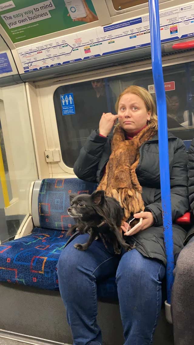 Woman and Dog on Tube