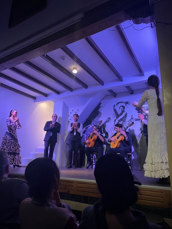 Performance at Tablao Flamenco Los Gallos
