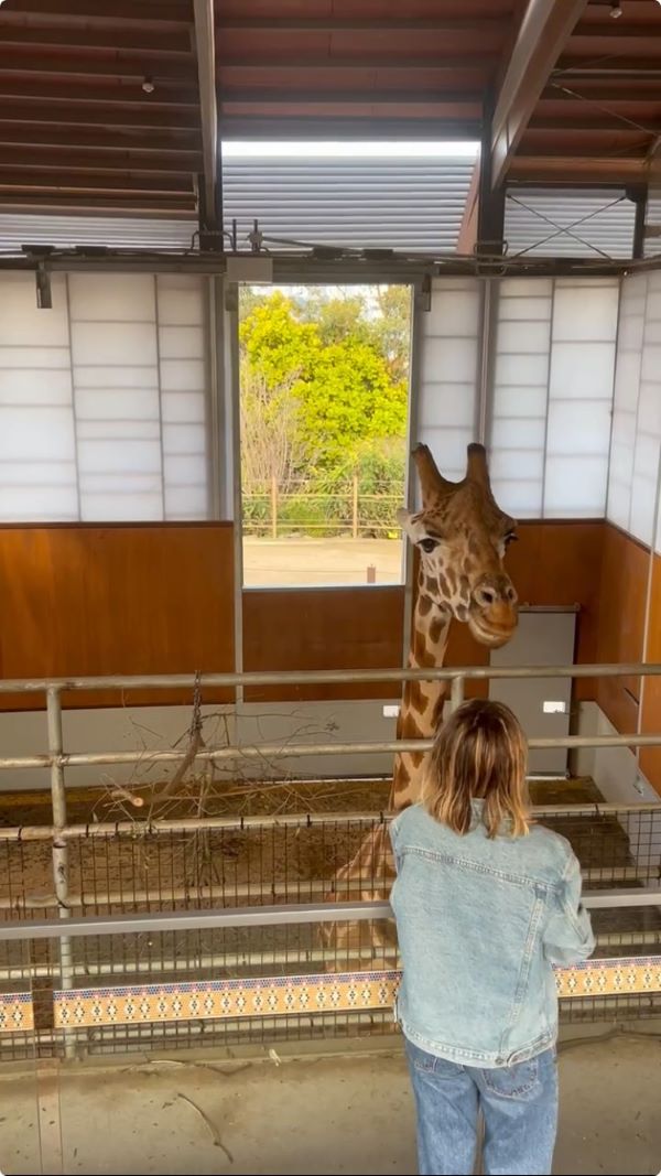 Inside the CEA CAPA Study Abroad Excursions in Sydney, Australia