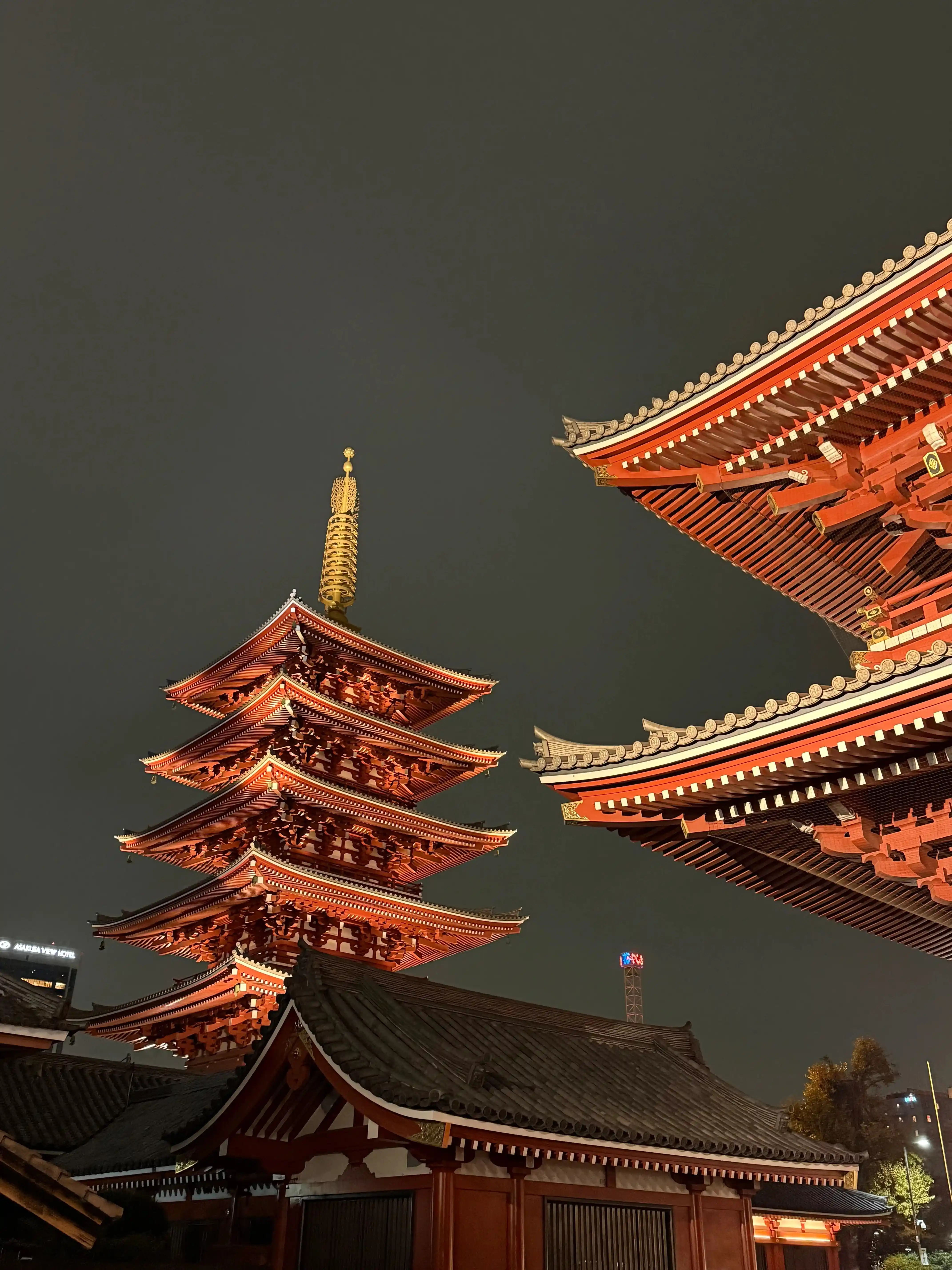 Top 5 Must-Dos in Tokyo, Japan
