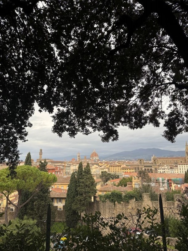 Scenic view of green space with Florence in the background