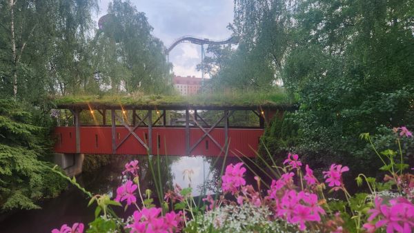 Lush garden with covered bridge