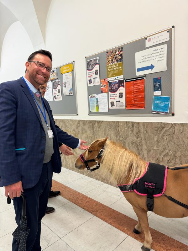 From Miniature Horses to Meaningful Career Pathways: CEA CAPA Prague Academic Program Review a Success