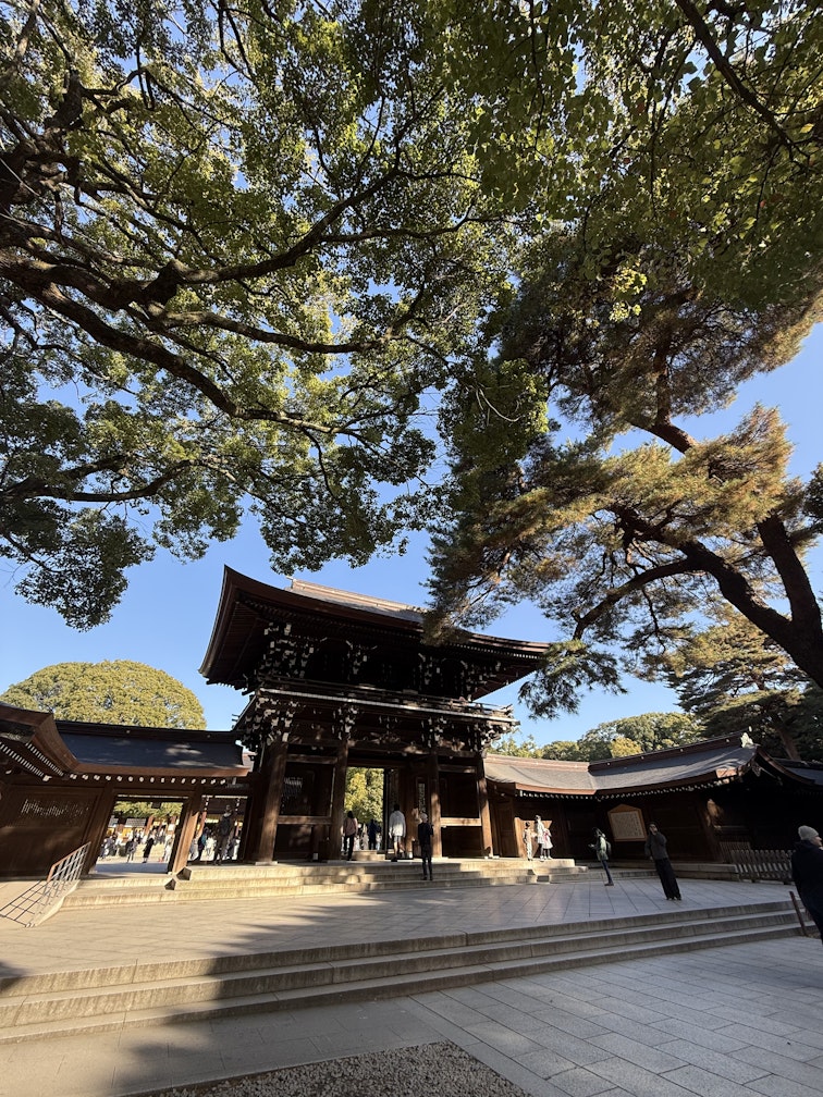 Improving My Japanese Skills and Confidence Abroad