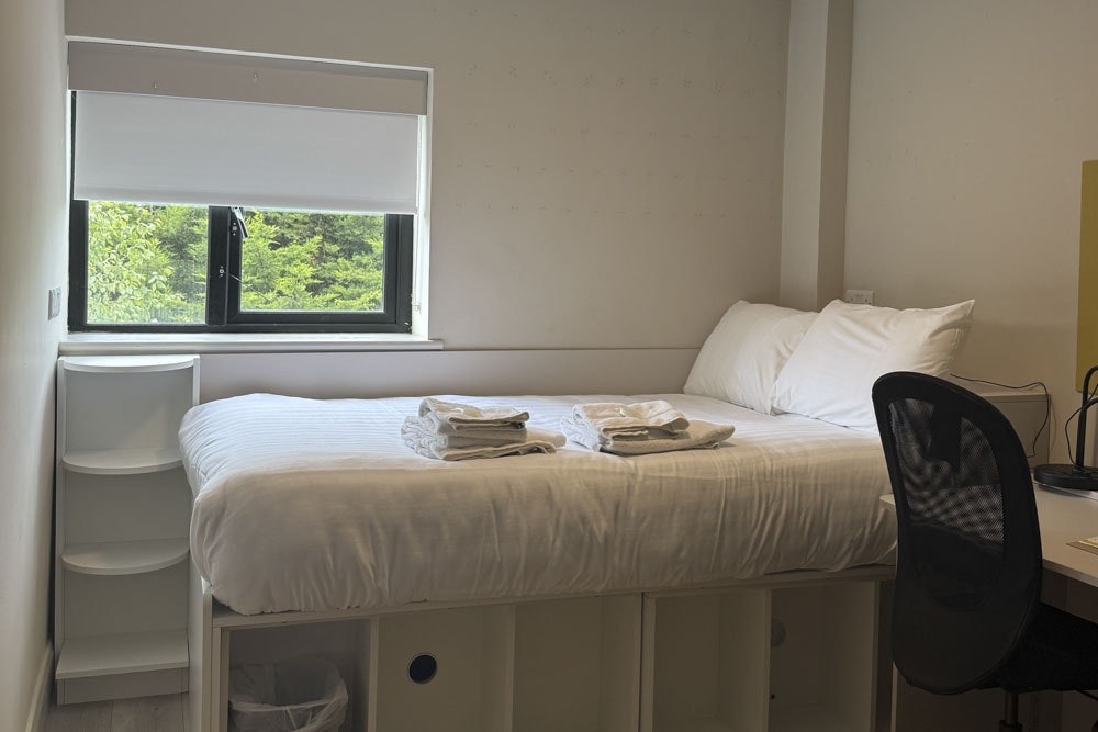 Apartment - Private Room