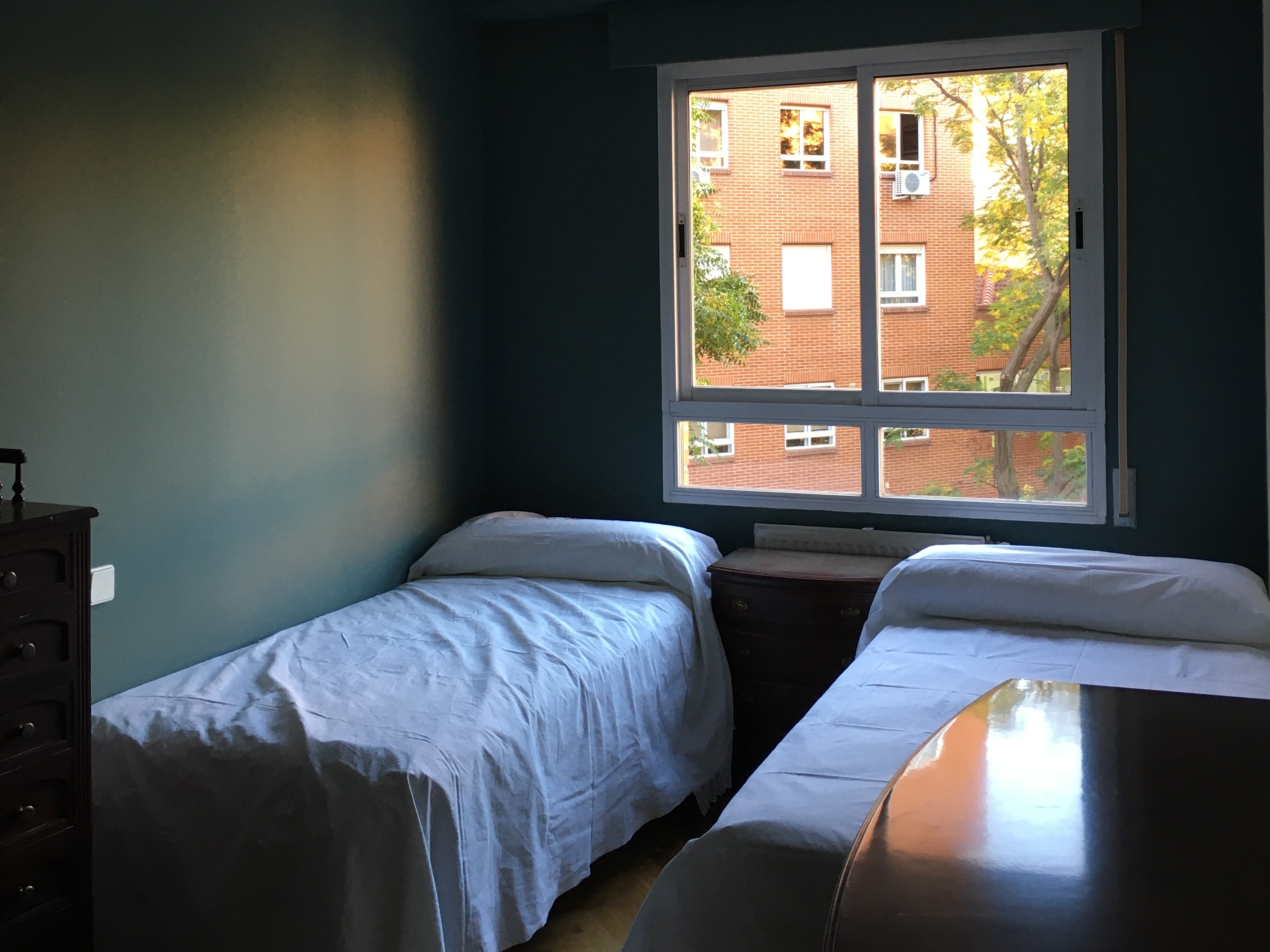 Apartment - Shared Room