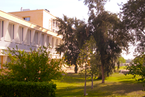 Pablo de Olavide University